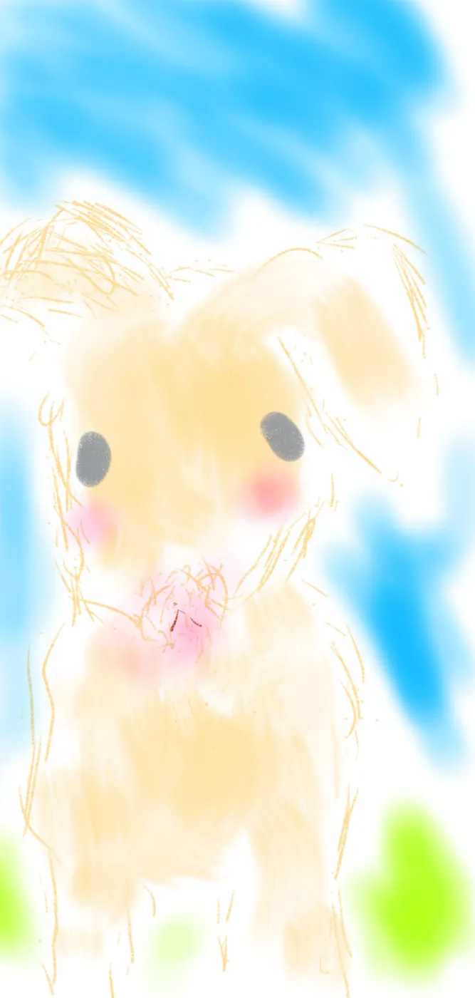 雪兎