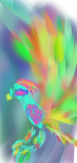 孔雀