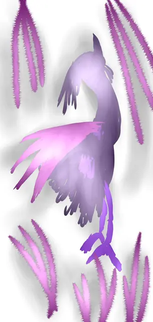 怪しげな鳥